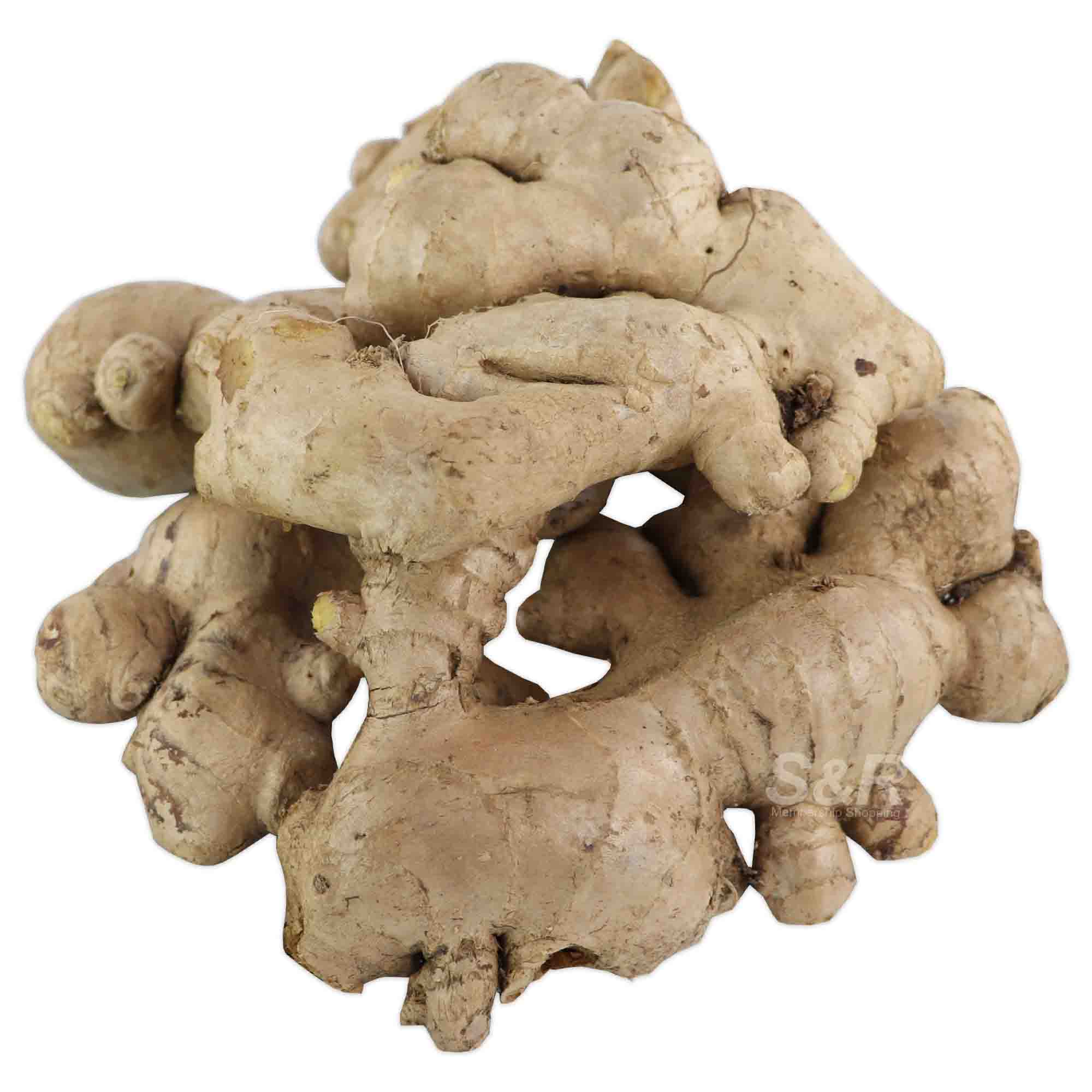 S&R Ginger approx. 3.2kg S&R Ginger approx. 3.2kg